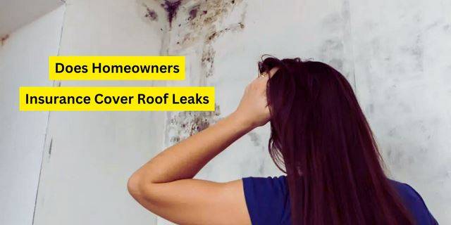 Does Homeowners Insurance Cover Roof Leaks