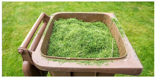 5 Solutions for Disposing of Green Waste